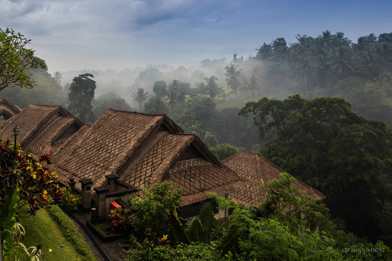 Bali Masari Villas & Spa - Ubud